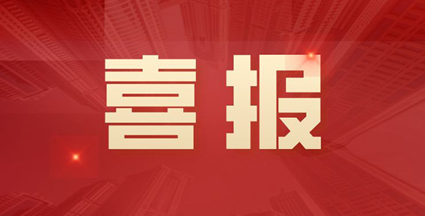 喜報(bào)！華日升公司榮獲各級(jí)表彰
